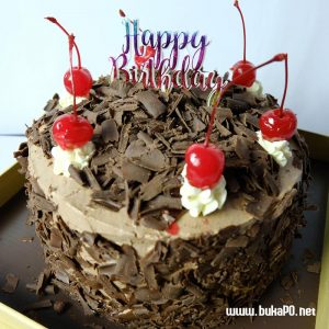 Black Forest Cake - 2 layers